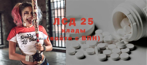спиды Богородицк