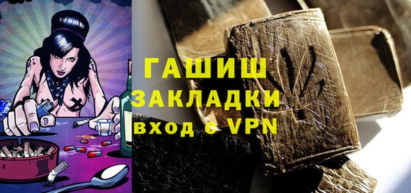 спиды Богородицк
