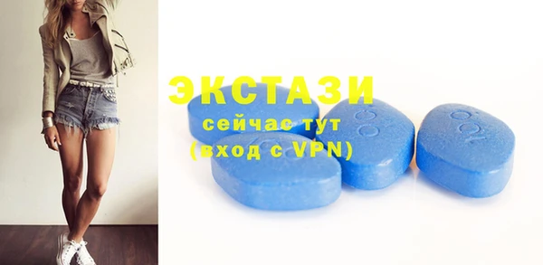 спиды Богородицк