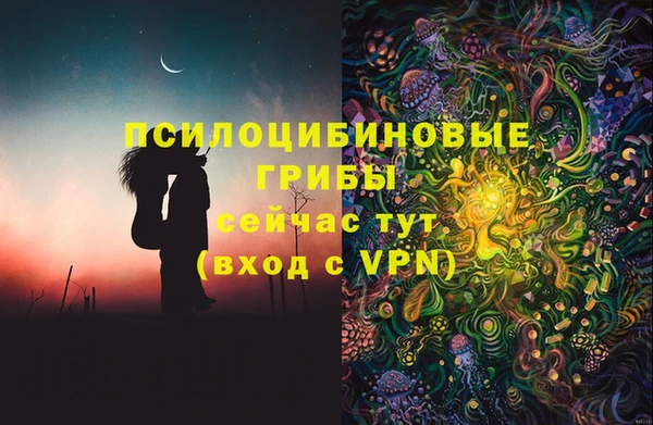 ALPHA PVP Богданович