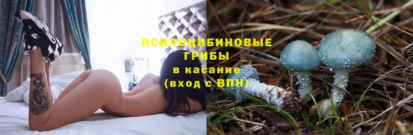 ALPHA PVP Богданович