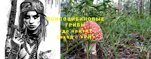 ALPHA PVP Богданович