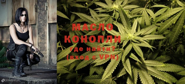 спиды Богородицк